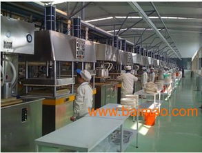 环保餐具产业链全景 从生产设备到终端供应的绿色革命